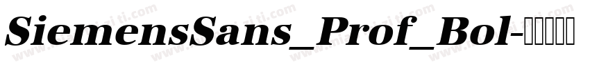 SiemensSans_Prof_Bol字体转换