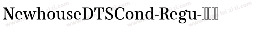 NewhouseDTSCond-Regu字体转换