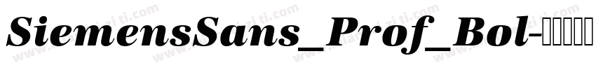 SiemensSans_Prof_Bol字体转换