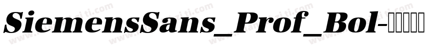 SiemensSans_Prof_Bol字体转换