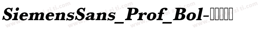 SiemensSans_Prof_Bol字体转换