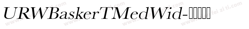 URWBaskerTMedWid字体转换