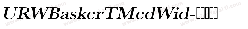 URWBaskerTMedWid字体转换