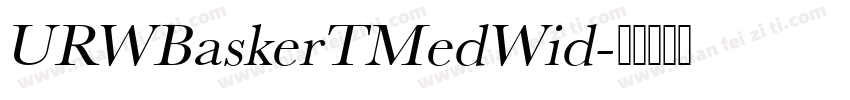 URWBaskerTMedWid字体转换