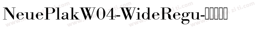 NeuePlakW04-WideRegu字体转换