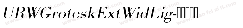 URWGroteskExtWidLig字体转换