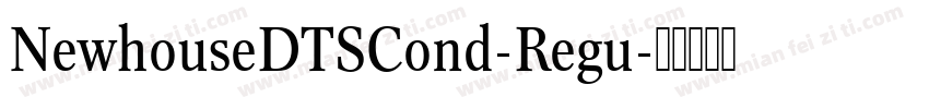 NewhouseDTSCond-Regu字体转换