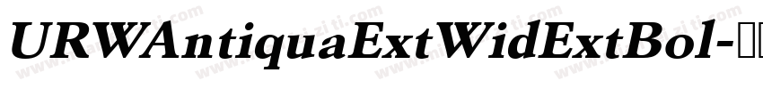 URWAntiquaExtWidExtBol字体转换