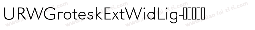 URWGroteskExtWidLig字体转换