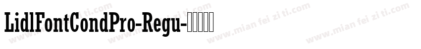 LidlFontCondPro-Regu字体转换