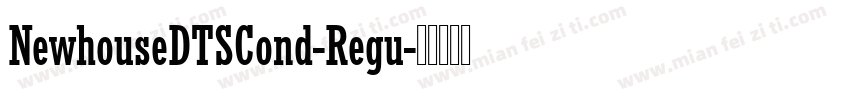 NewhouseDTSCond-Regu字体转换