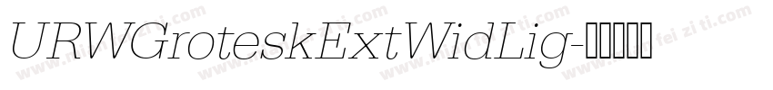 URWGroteskExtWidLig字体转换