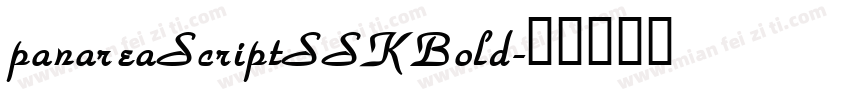 panareaScriptSSKBold字体转换