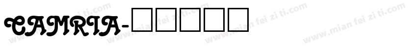 camria字体转换