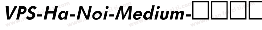 VPS-Ha-Noi-Medium字体转换