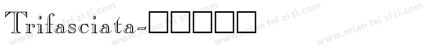 Trifasciata字体转换