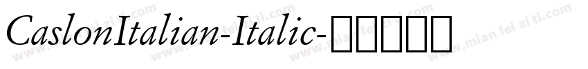 CaslonItalian-Italic字体转换