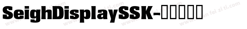 SeighDisplaySSK字体转换
