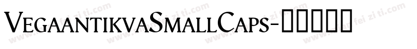 VegaantikvaSmallCaps字体转换
