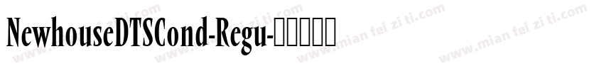 NewhouseDTSCond-Regu字体转换