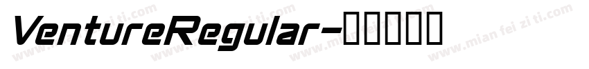 VentureRegular字体转换