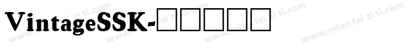VintageSSK字体转换