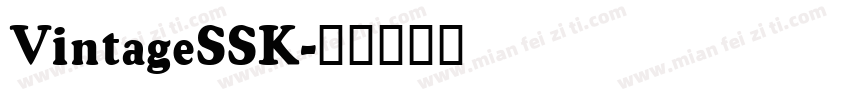 VintageSSK字体转换