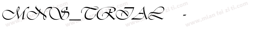 MNS_TRIAL转换器字体转换