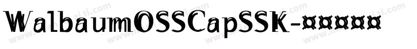 WalbaumOSSCapSSK字体转换