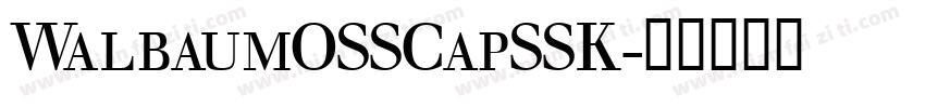 WalbaumOSSCapSSK字体转换