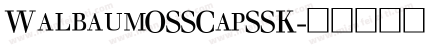 WalbaumOSSCapSSK字体转换