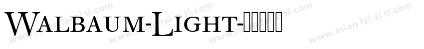 Walbaum-Light字体转换