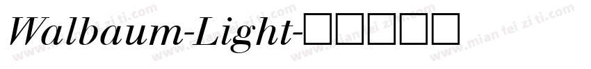 Walbaum-Light字体转换