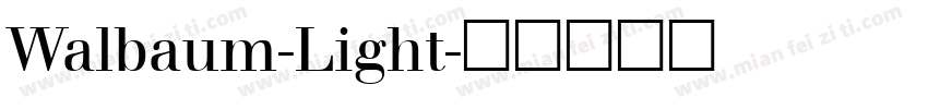 Walbaum-Light字体转换