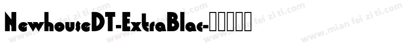 NewhouseDT-ExtraBlac字体转换