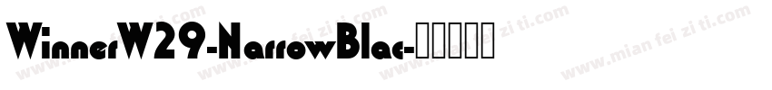 WinnerW29-NarrowBlac字体转换
