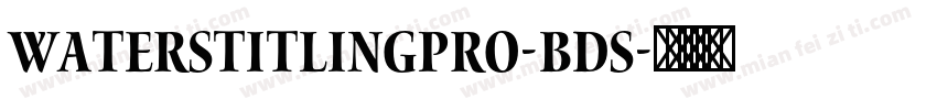 WatersTitlingPro-BdS字体转换