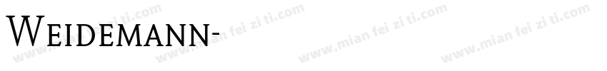 Weidemann字体转换