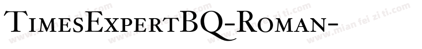 TimesExpertBQ-Roman字体转换