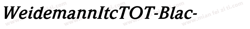 WeidemannItcTOT-Blac字体转换