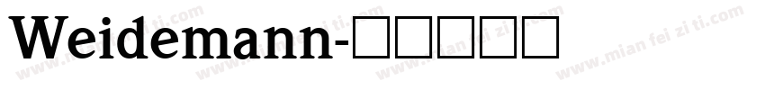 Weidemann字体转换