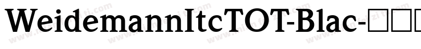 WeidemannItcTOT-Blac字体转换