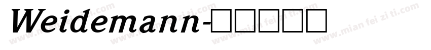 Weidemann字体转换
