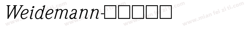 Weidemann字体转换