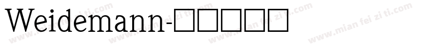 Weidemann字体转换