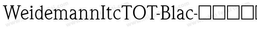 WeidemannItcTOT-Blac字体转换