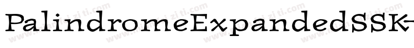 PalindromeExpandedSSK字体转换
