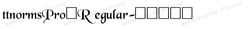 ttnormsPro一Regular字体转换