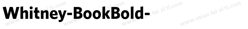 Whitney-BookBold字体转换