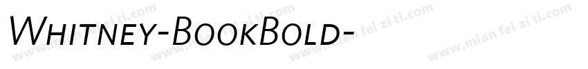 Whitney-BookBold字体转换
